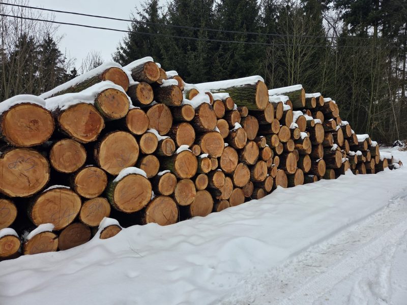 DOUGLAS-FIR LOGS 