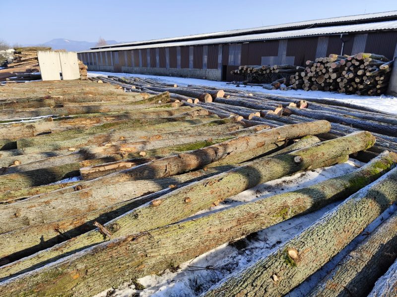 ROUND OAK WOOD WITH BARK 