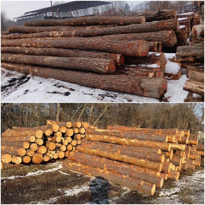 ROUND PINEWOOD WITH BARK 