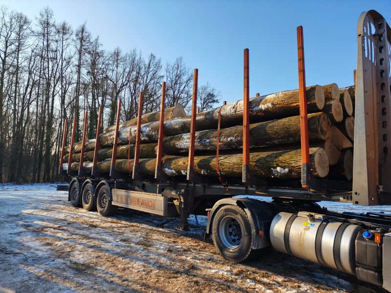 ROUND ASH WOOD WITH BARK 