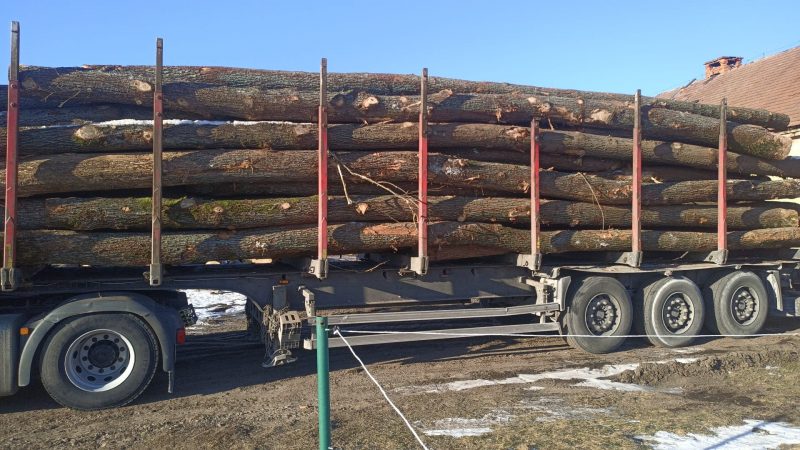 ROUND OAK WOOD WITH BARK 