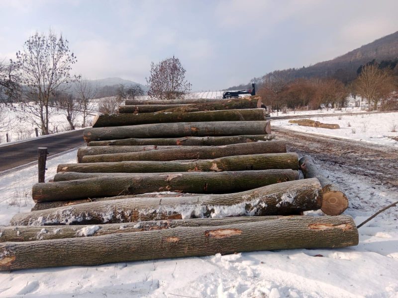 ROUND ASH WOOD WITH BARK 