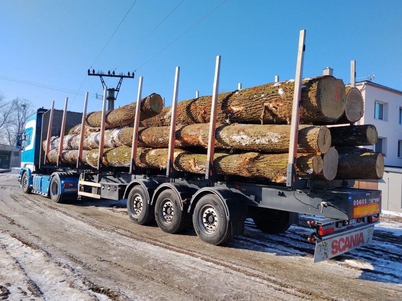 ROUND OAK WOOD WITH BARK 