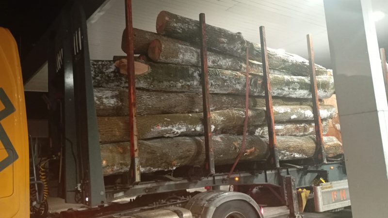 ROUND ASH WOOD WITH BARK 