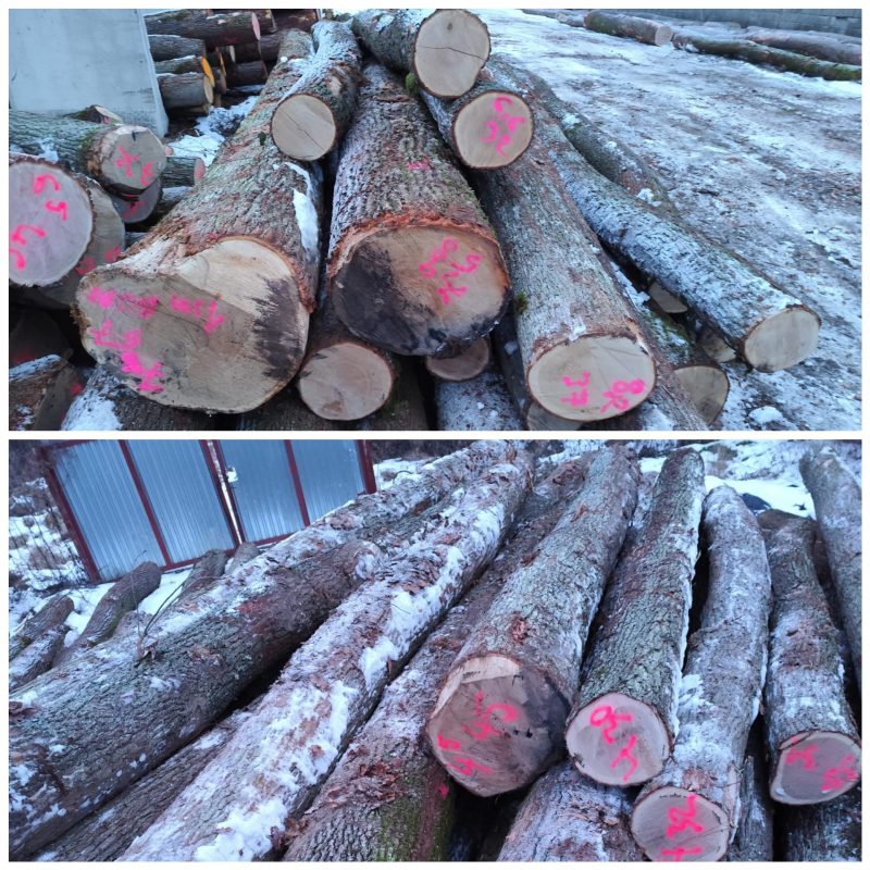 ROUND OAK WOOD WITH BARK 