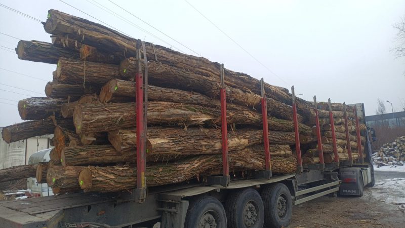 ACACIA LOGS 