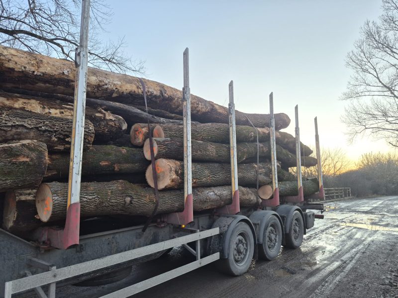 ROUND ASH WOOD WITH BARK 
