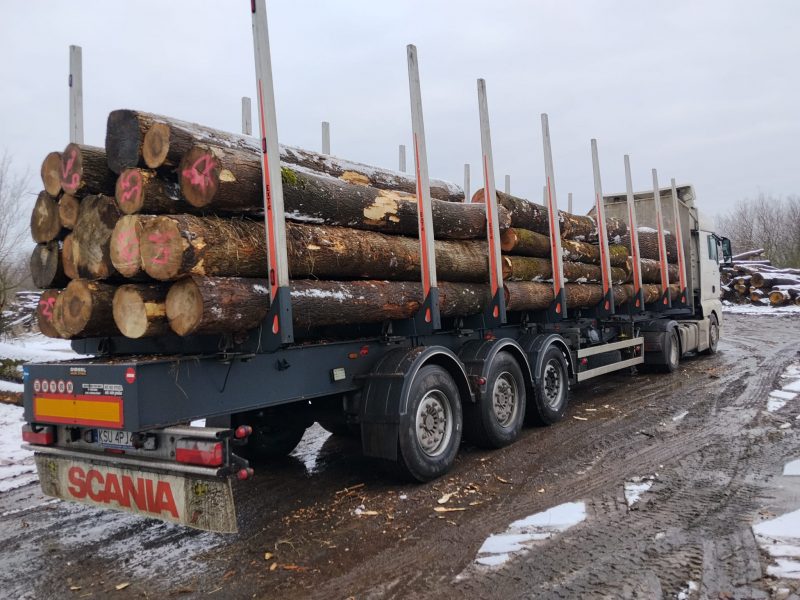 ROUND ASH WOOD WITH BARK 