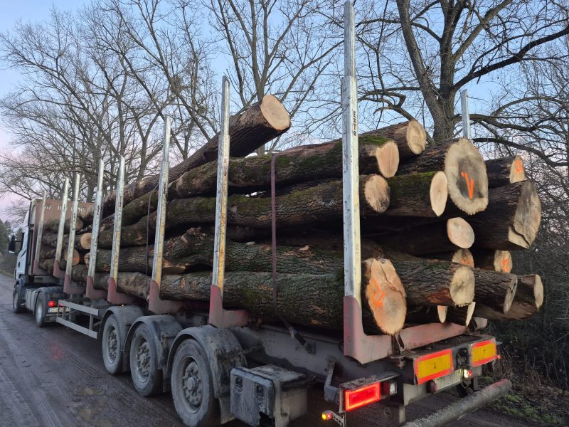 ROUND ASH WOOD WITH BARK 