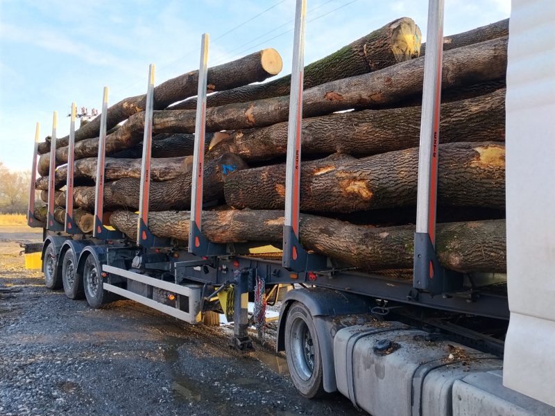 ROUND ASH WOOD WITH BARK 