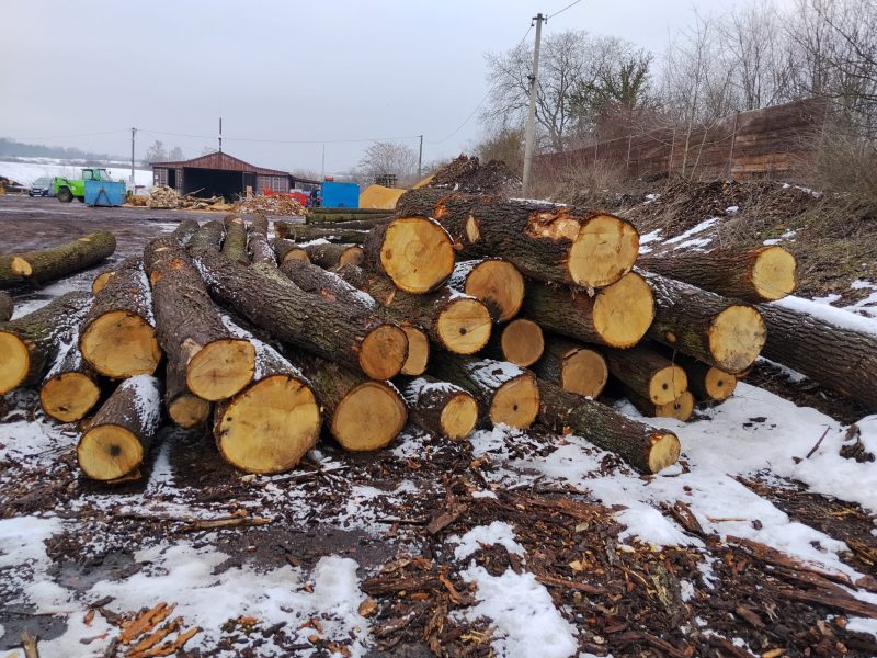 ROUND OAK WOOD WITH BARK 