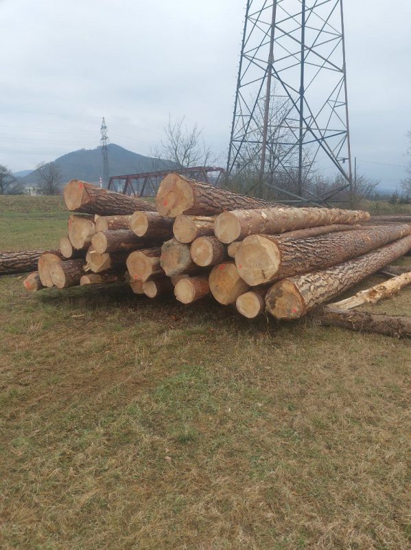 ROUND PINEWOOD WITH BARK 