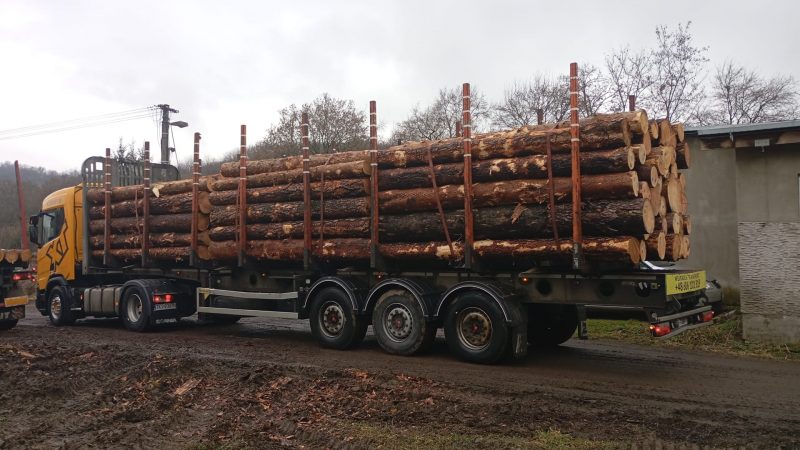 ROUND PINEWOOD WITH BARK 