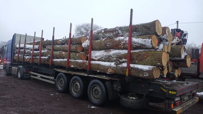 ROUND OAK WOOD WITH BARK 
