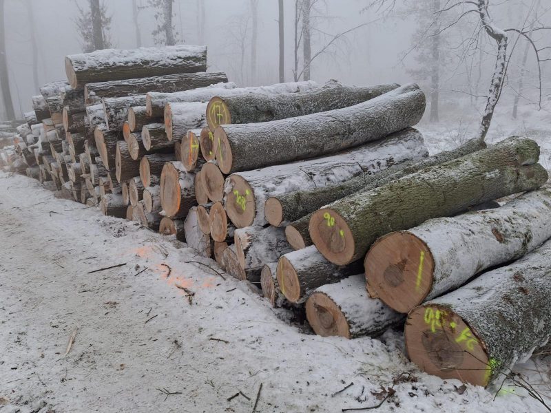 ROUND ASH WOOD WITH BARK 