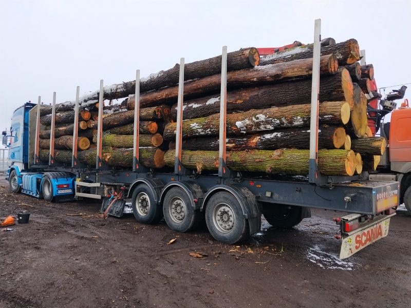 ROUND OAK WOOD WITH BARK 