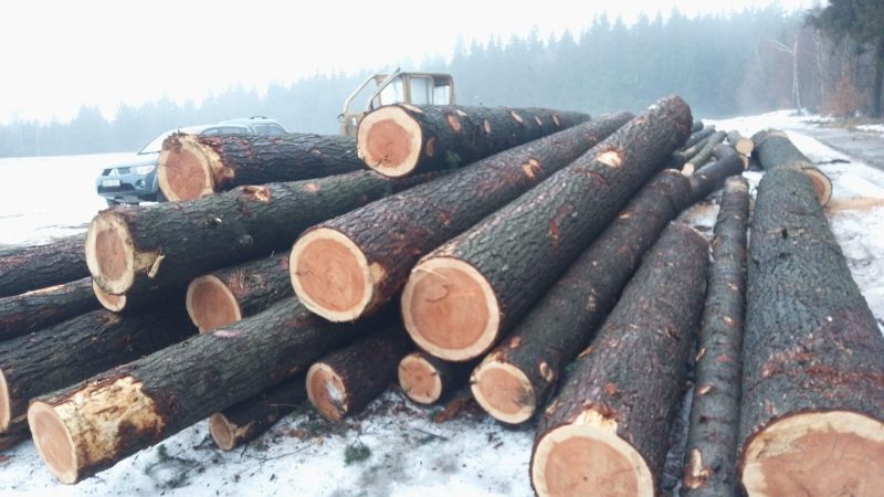 DOUGLAS-FIR LOGS 