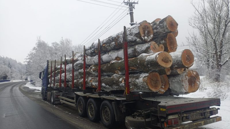 ROUND ASH WOOD WITH BARK 
