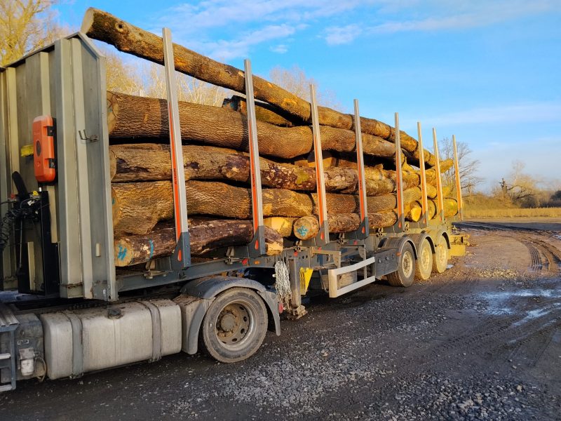 ROUND ASH WOOD WITH BARK 