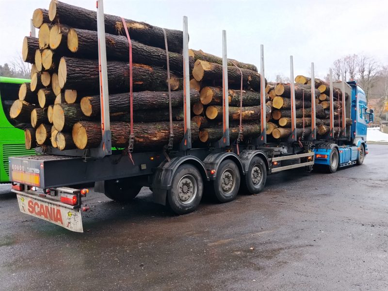 ROUND OAK WOOD WITH BARK 