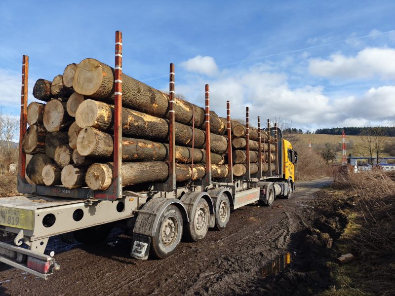 ROUND ASH WOOD WITH BARK 
