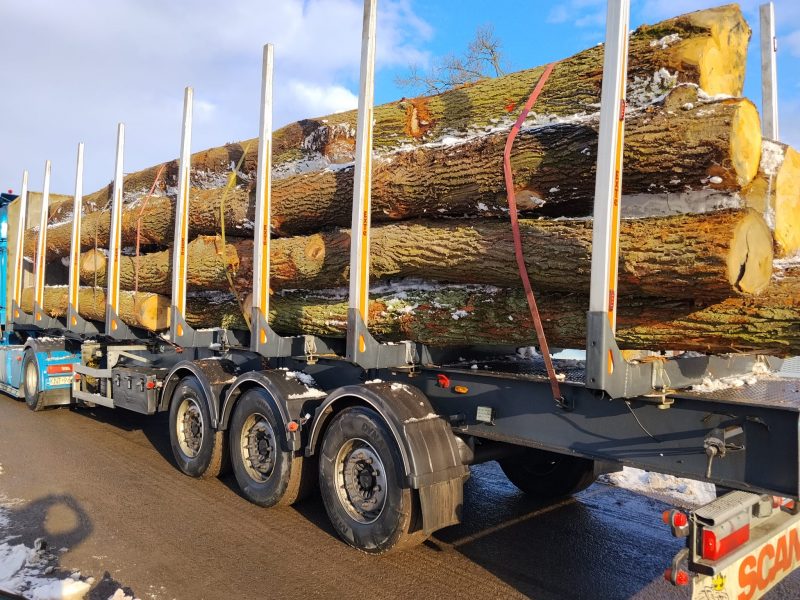 ROUND OAK WOOD WITH BARK 