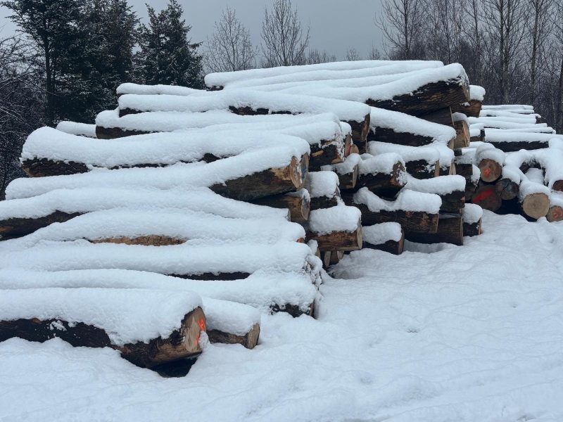ROUND ASH WOOD WITH BARK 