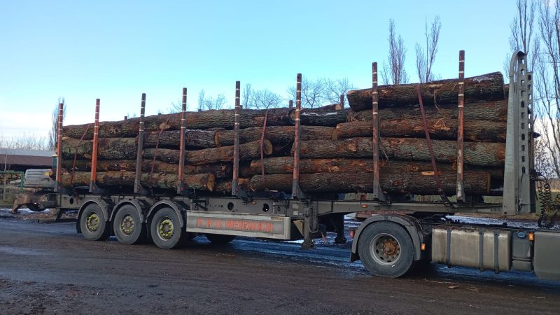 ROUND OAK WOOD WITH BARK 