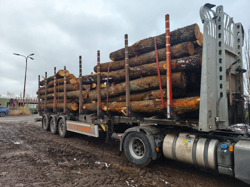 ROUND OAK WOOD WITH BARK 