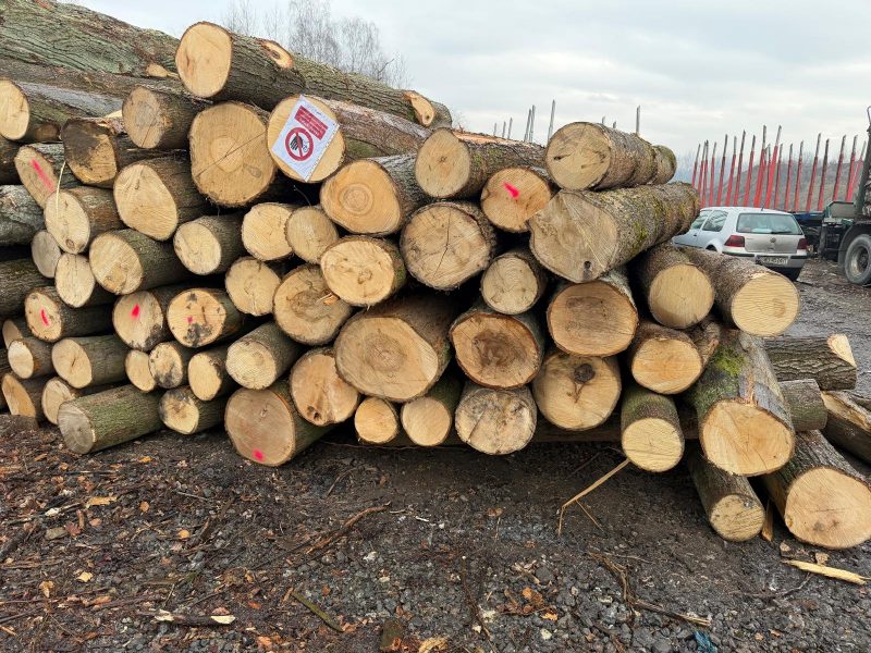 LIME TIMBER ROUND WITH BARK 