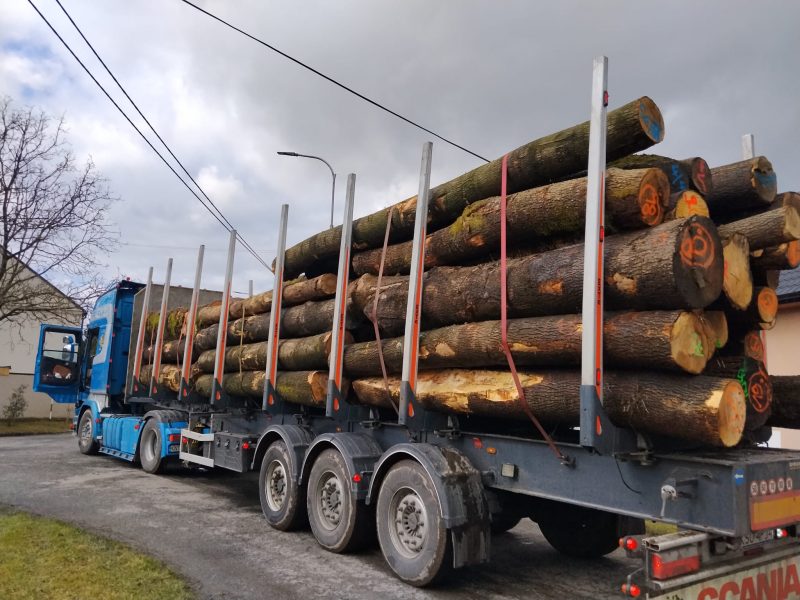 ROUND ASH WOOD WITH BARK 