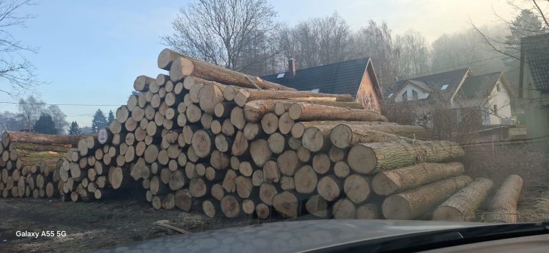 LIME TIMBER ROUND WITH BARK 