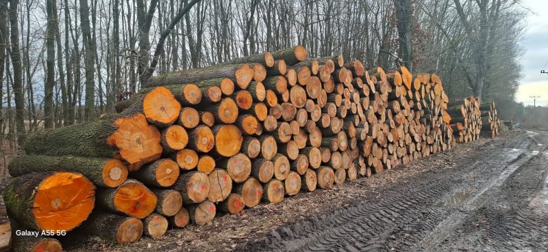ROUND ALDER WOOD WITH BARK 