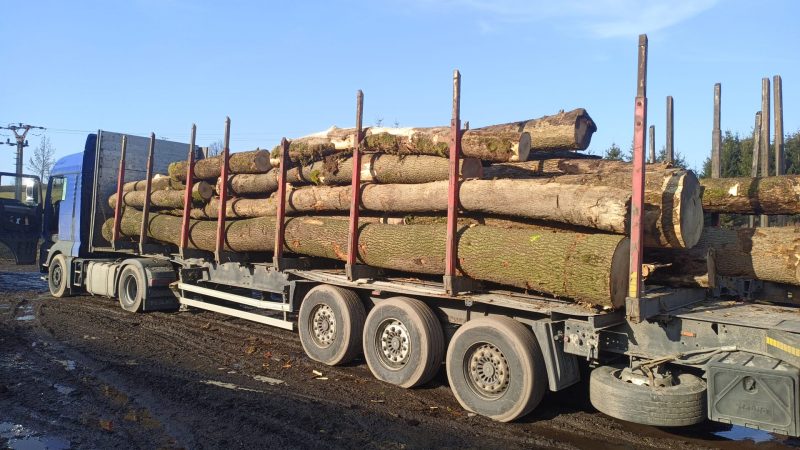 ROUND ASH WOOD WITH BARK 