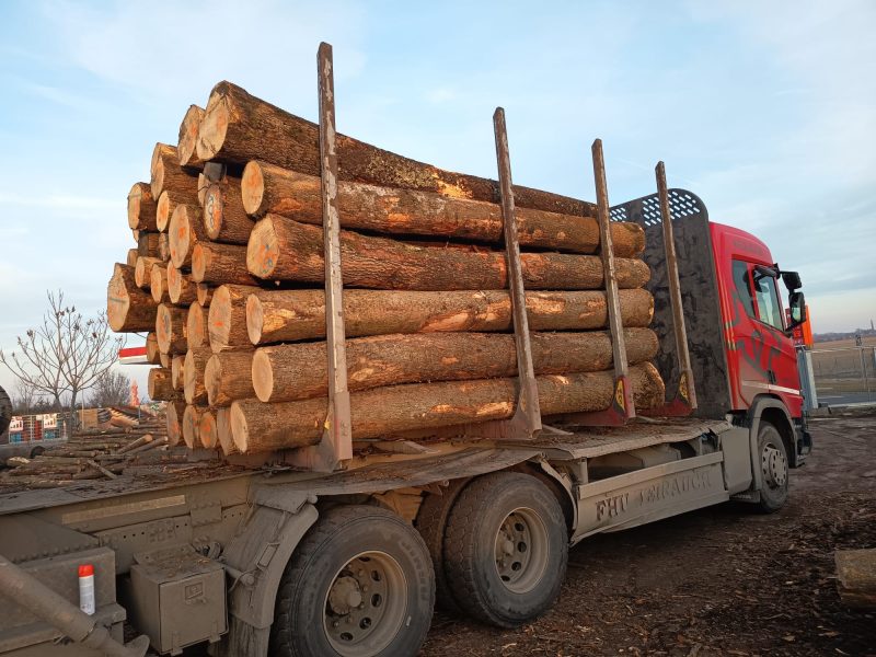 ROUND ASH WOOD WITH BARK 