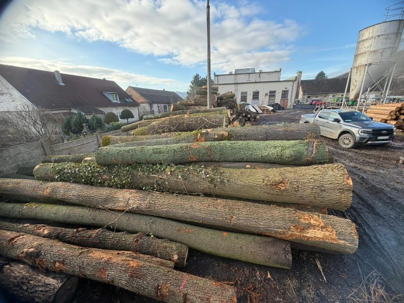 ROUND ASH WOOD WITH BARK 