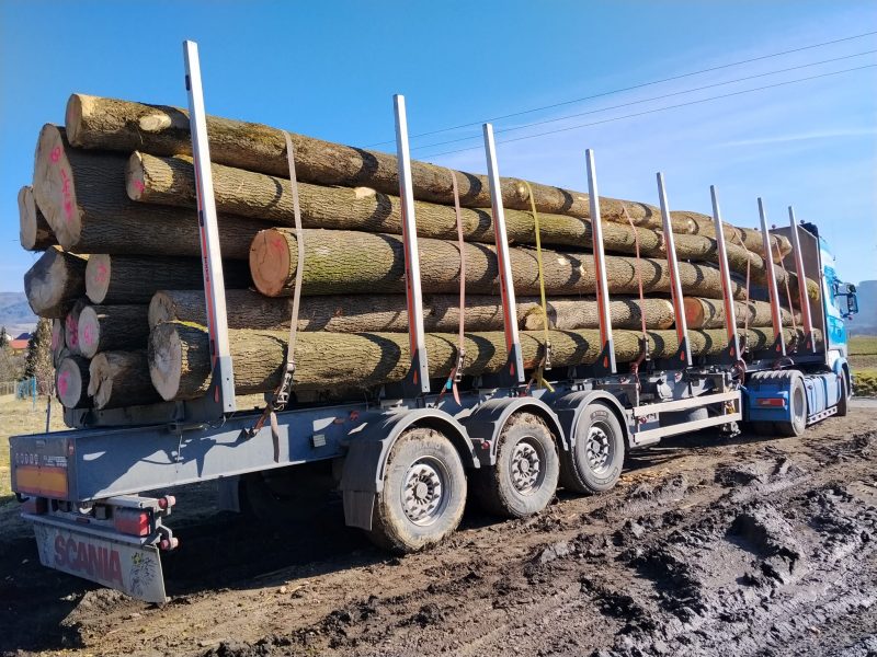 ROUND ASH WOOD WITH BARK 