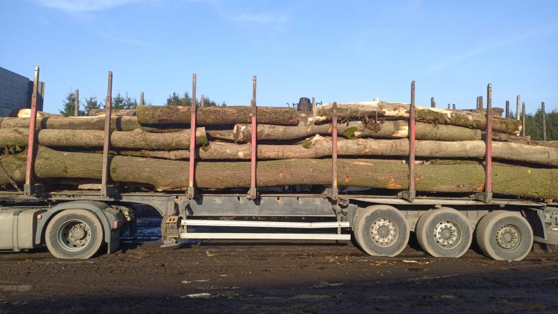ROUND ASH WOOD WITH BARK 