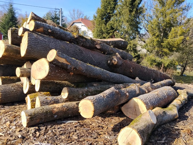 ROUND ASH WOOD WITH BARK 