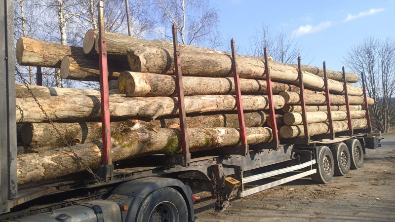 ROUND ASH WOOD WITH BARK 