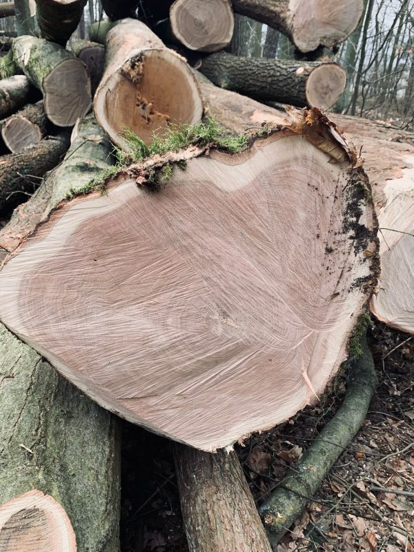 ROUND OAK WOOD WITH BARK 