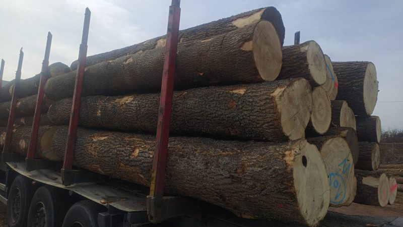 ROUND ASH WOOD WITH BARK 