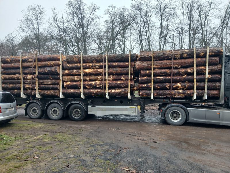 ROUND PINEWOOD WITH BARK 