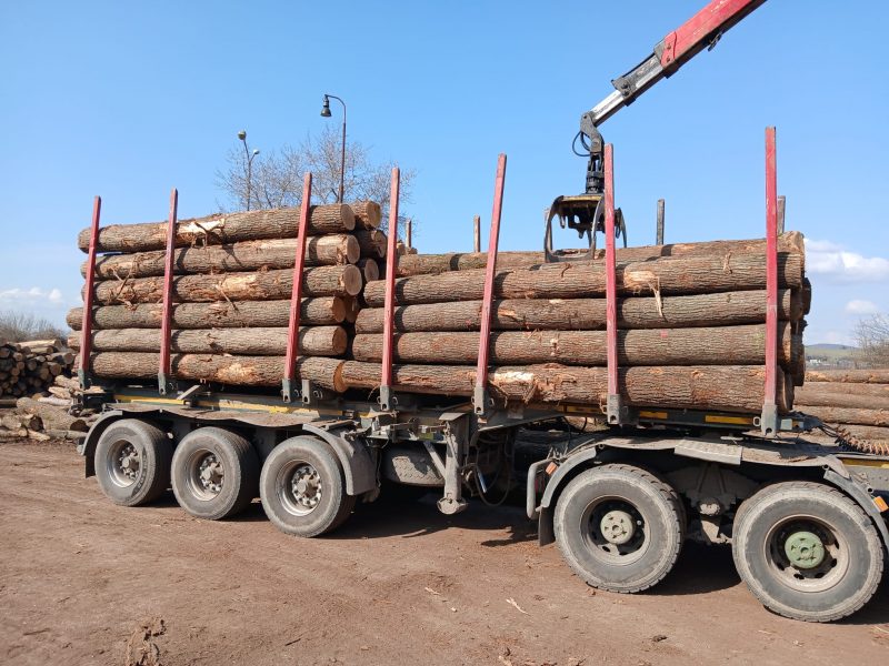 ROUND OAK WOOD WITH BARK 