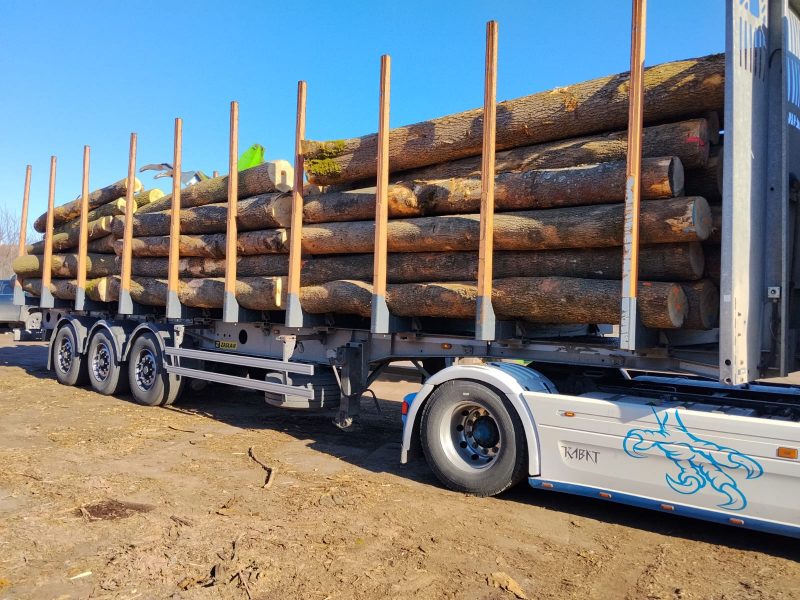 ROUND ASH WOOD WITH BARK 