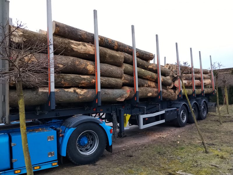 ROUND ASH WOOD WITH BARK 