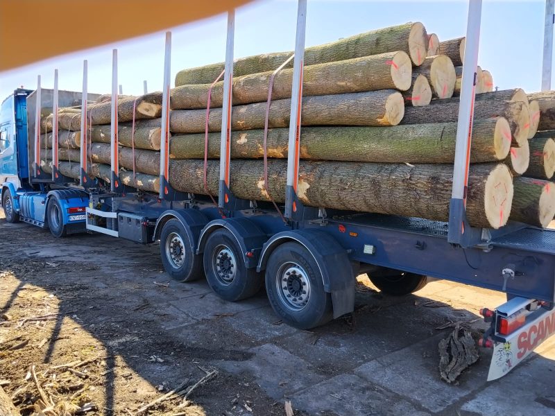 ROUND ASH WOOD WITH BARK 