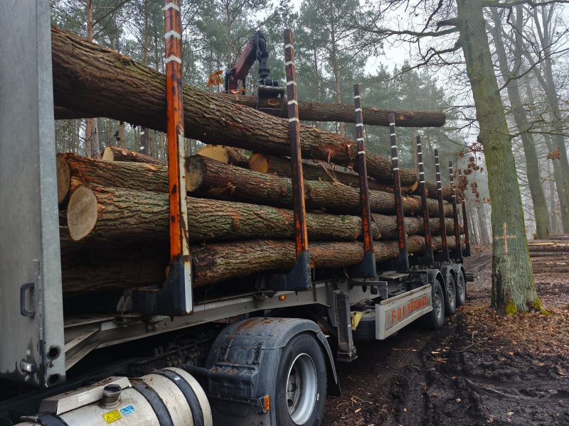 ROUND OAK WOOD WITH BARK 