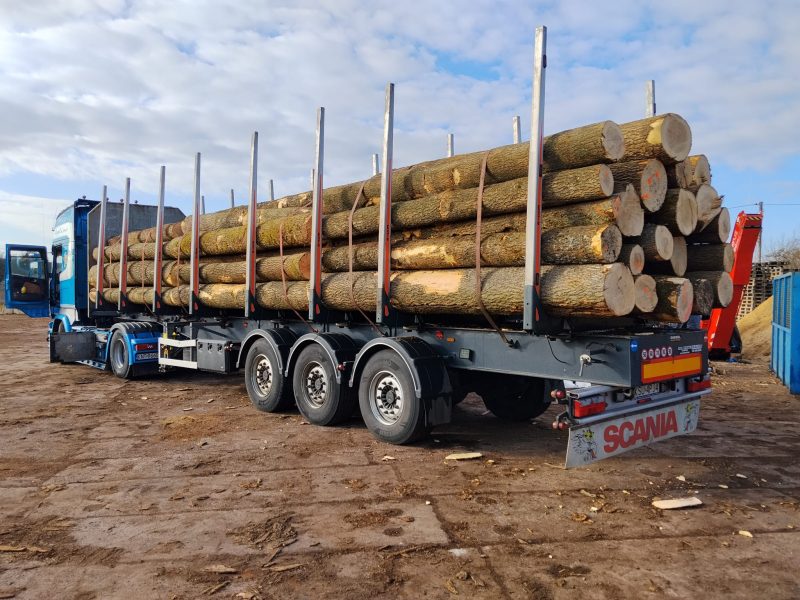 ROUND ASH WOOD WITH BARK 