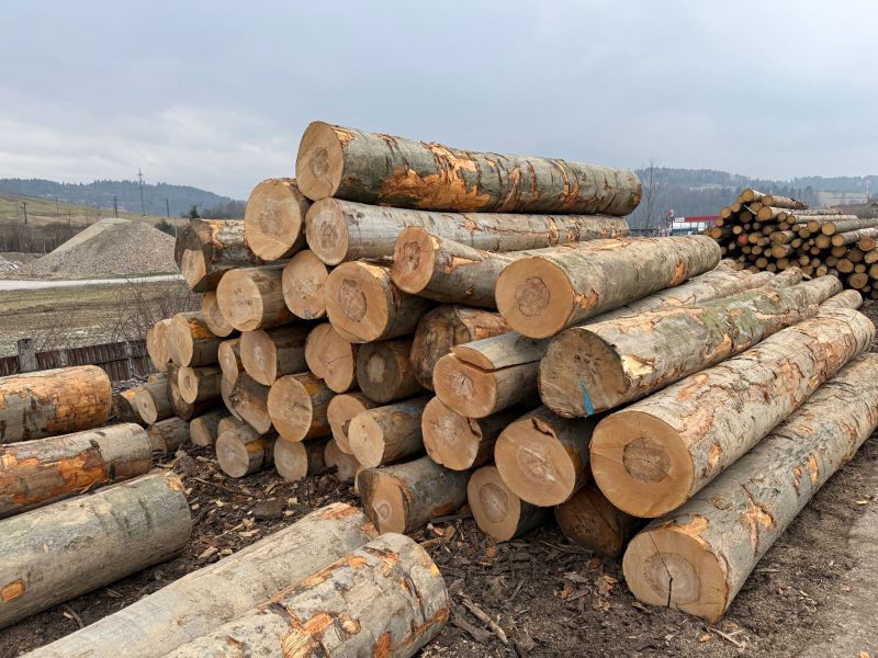 BEECH LOGS 